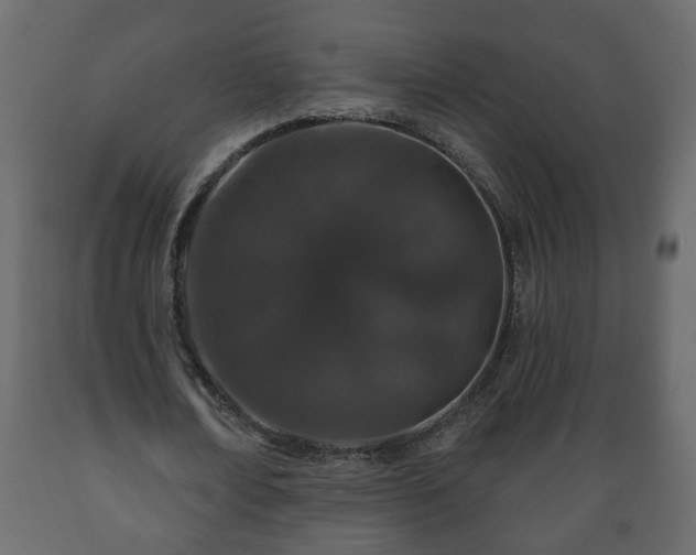 X0000089910674200707060959