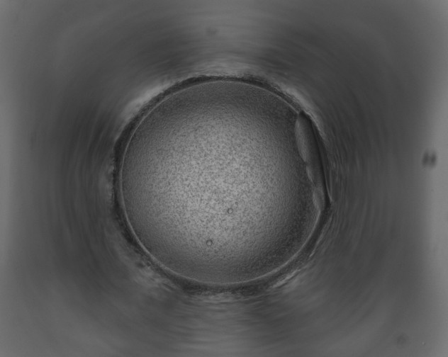X0000089910675200707060959