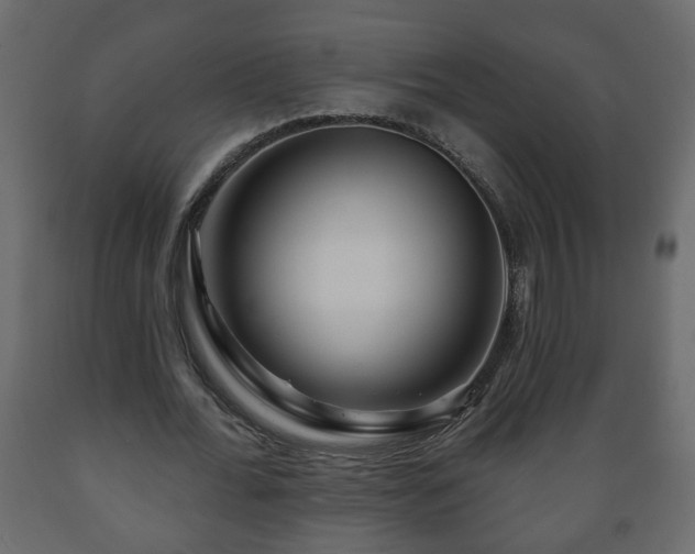 X0000089910676200707060959
