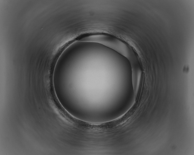 X0000089910677200707060959