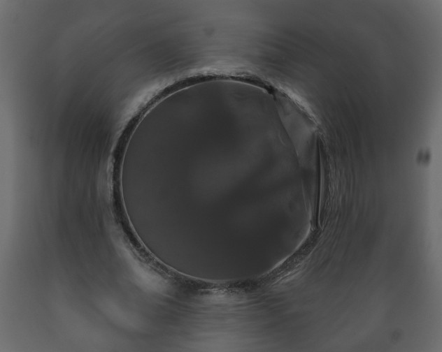 X0000089910678200707060959