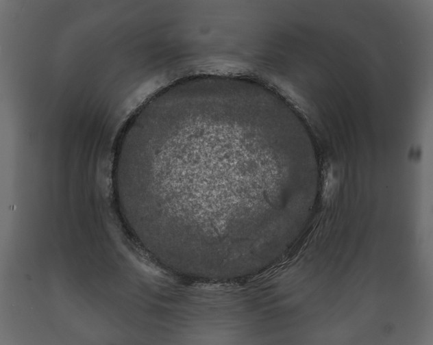 X0000089910679200707060959