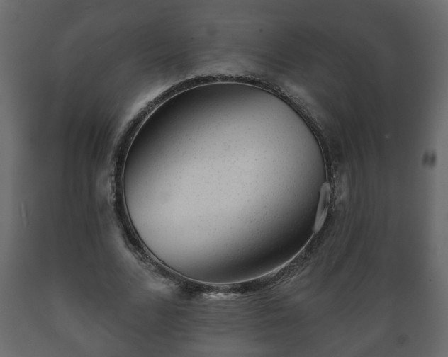 X0000089910680200707060959