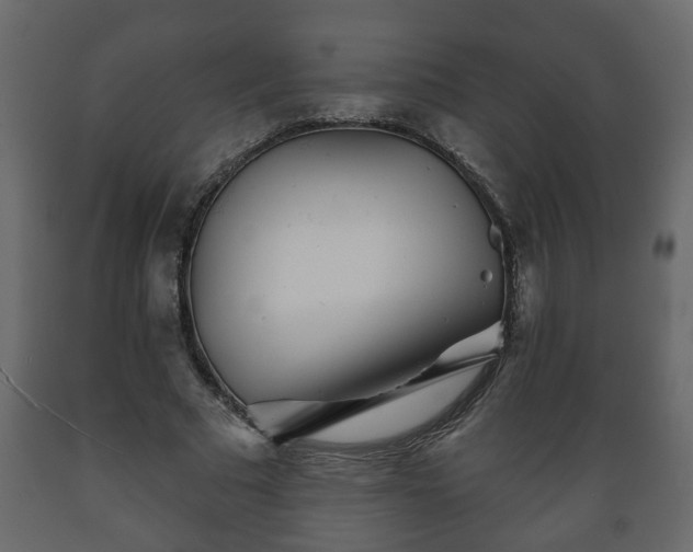 X0000089910681200707060959