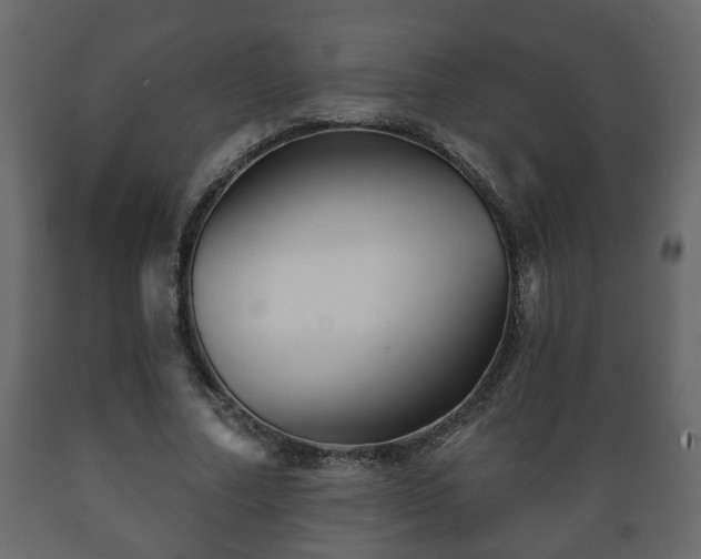 X0000089910682200707060959