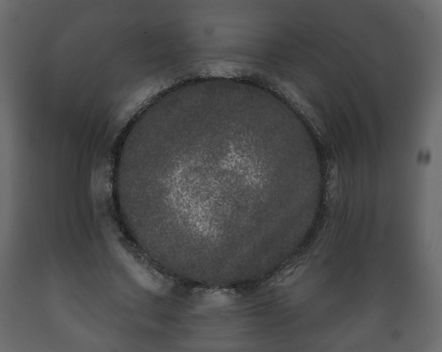 X0000089910683200707060959