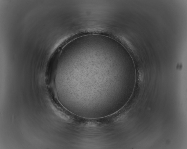 X0000089910684200707060959