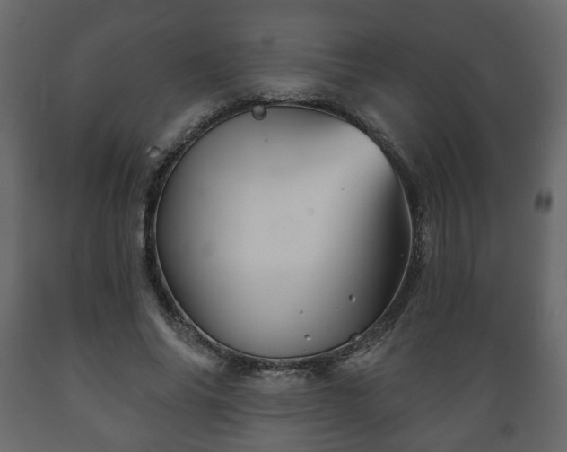 X0000089910686200707060959