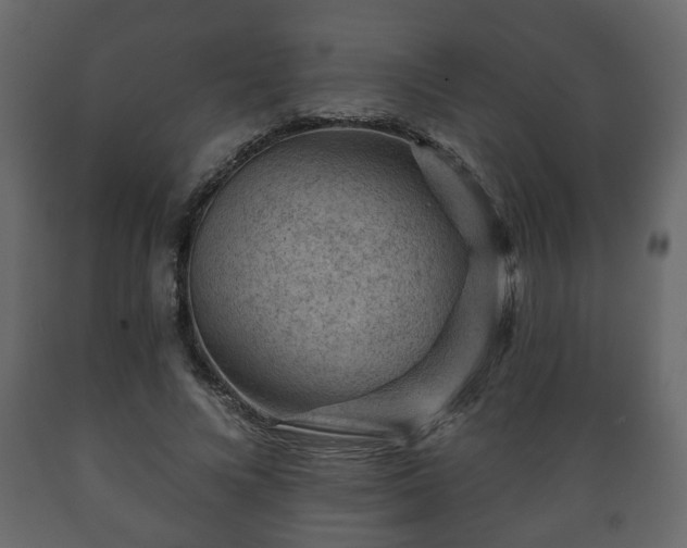 X0000089910688200707060959
