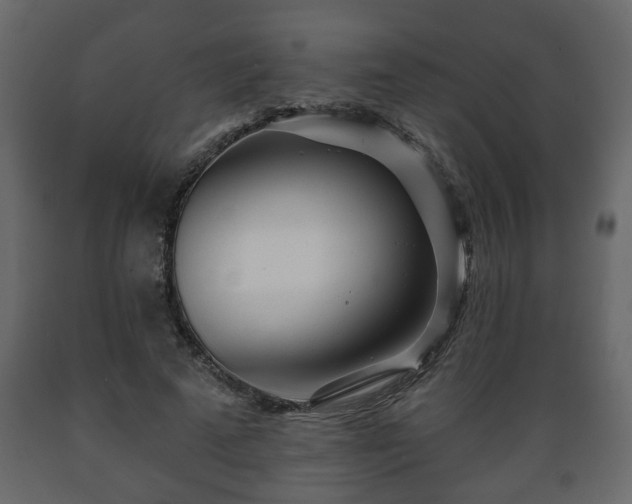 X0000089910689200707060959