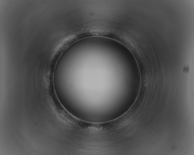 X0000089910690200707060959
