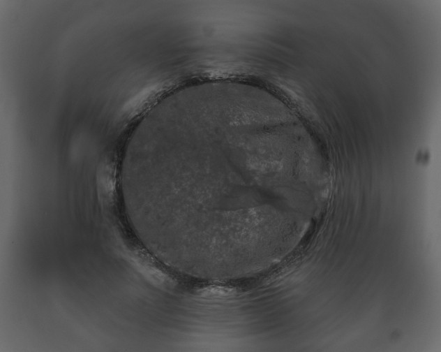 X0000089910691200707060959