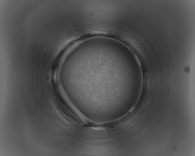 X0000089910692200707060959