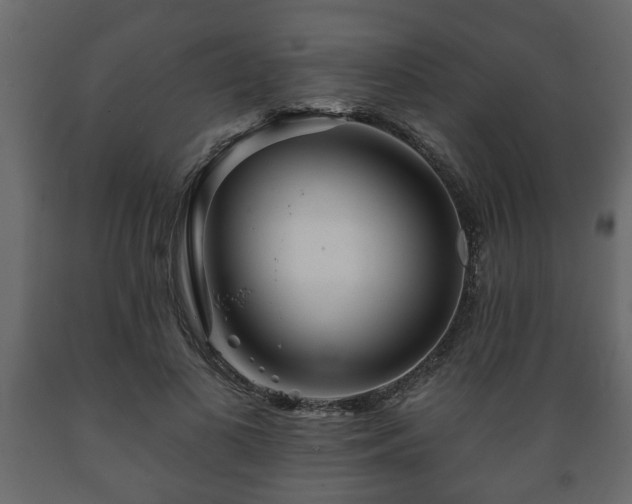 X0000089910693200707060959