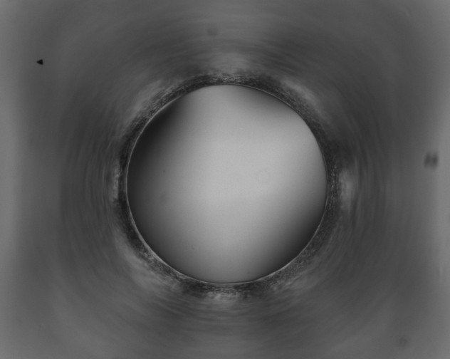 X0000089910694200707060959