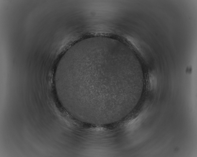 X0000089910695200707060959