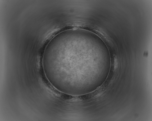 X0000089910696200707060959
