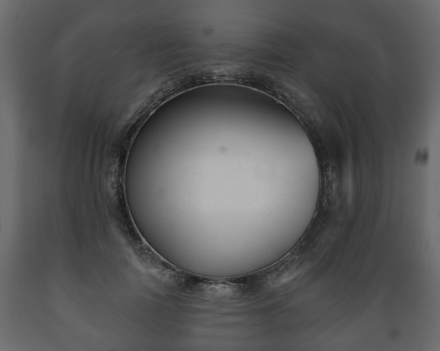 X0000089910698200707060959