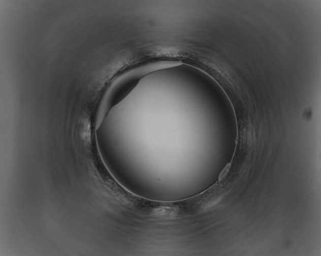 X0000089910700200707060959