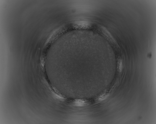 X0000089910701200707060959