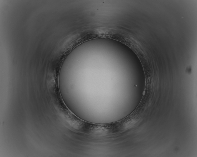 X0000089910702200707060959