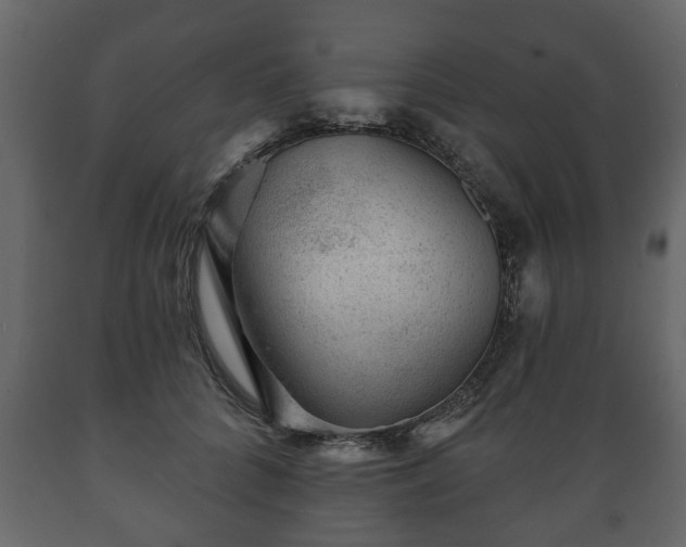 X0000089910704200707060959