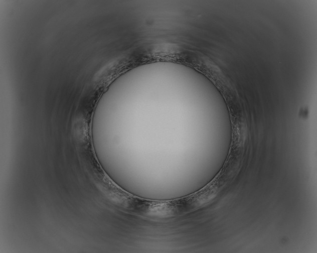 X0000089910705200707060959