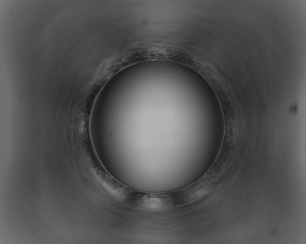 X0000089910706200707060959