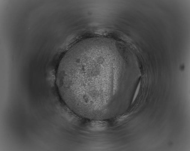 X0000089910707200707060959