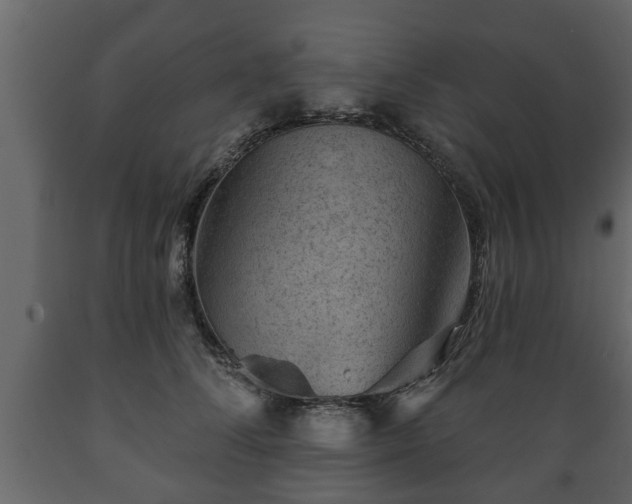 X0000089910708200707060959
