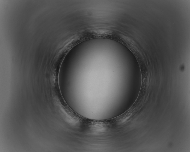 X0000089910710200707060959
