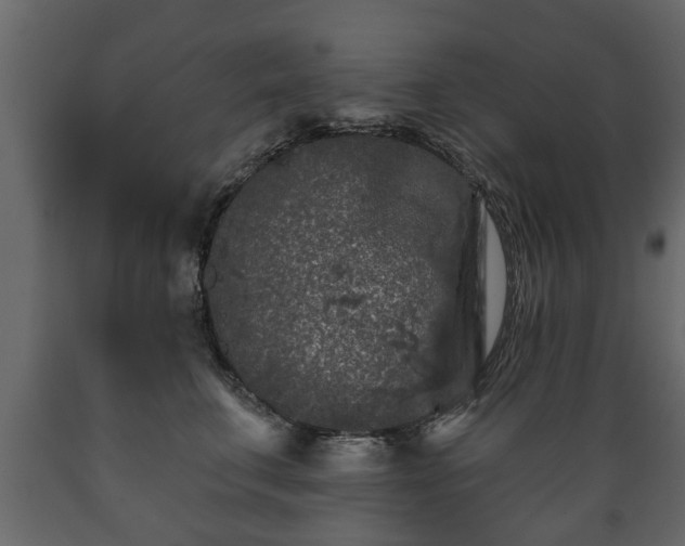 X0000089910711200707060959