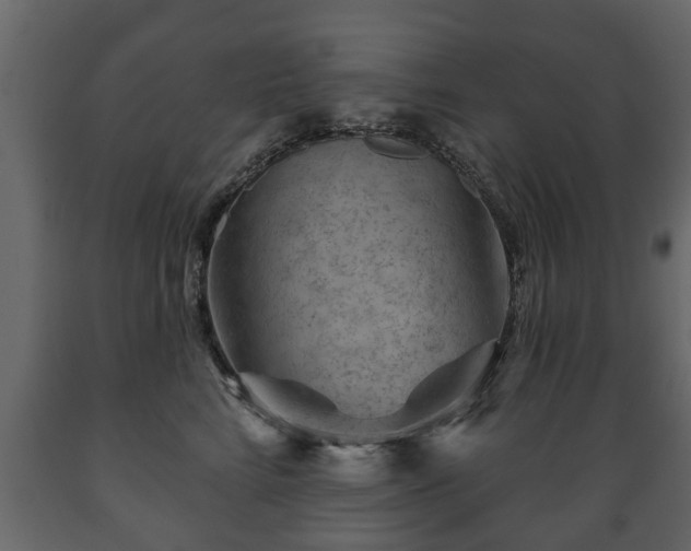 X0000089910712200707060959