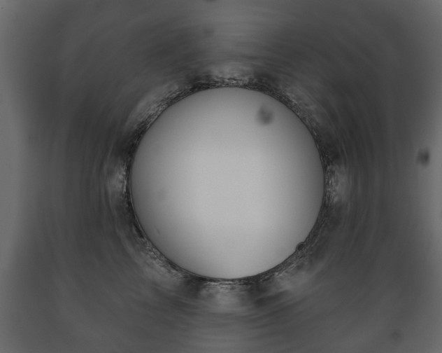 X0000089910713200707060959