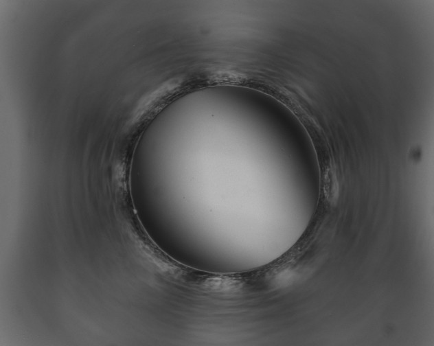 X0000089910714200707060959
