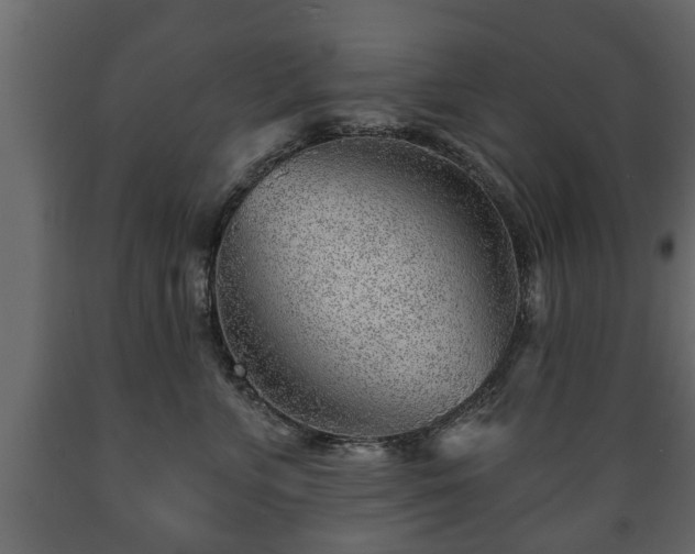 X0000089910715200707060959