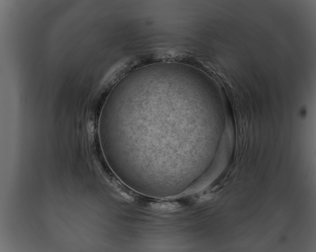X0000089910716200707060959