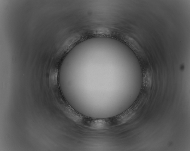 X0000089910717200707060959
