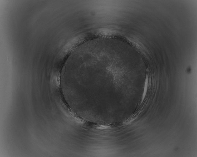 X0000089910718200707060959