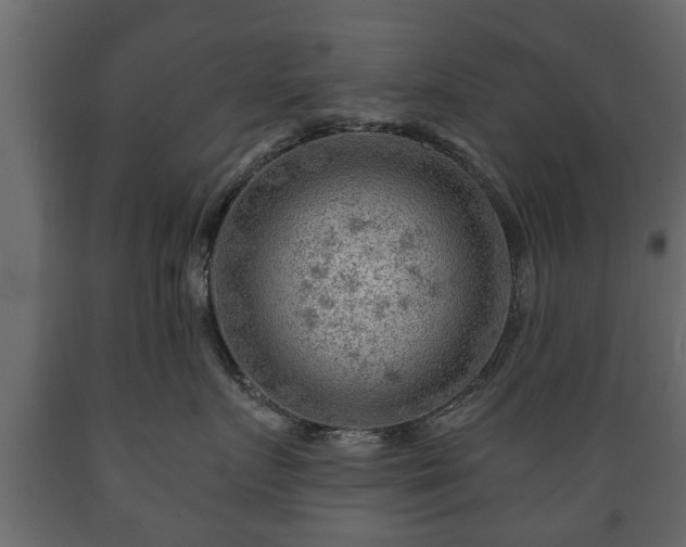 X0000089910719200707060958