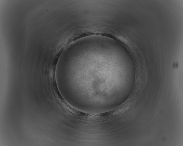 X0000089910720200707060958