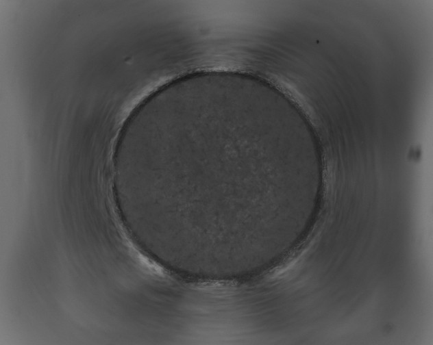 X0000089910721200707060958