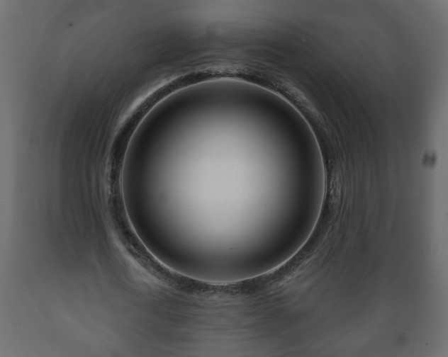 X0000089910722200707060958