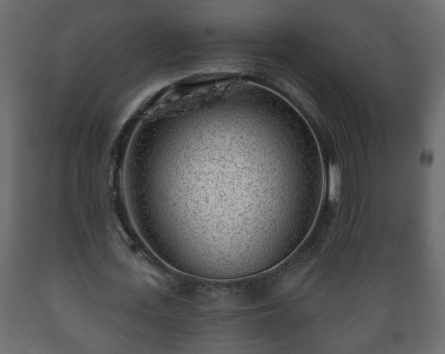 X0000089910723200707060958