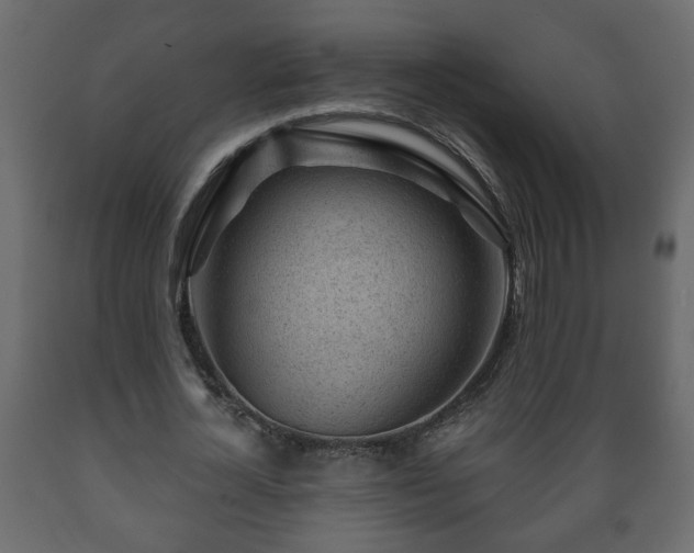 X0000089910724200707060958