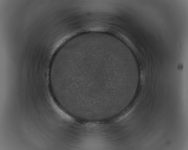 X0000089910725200707060958