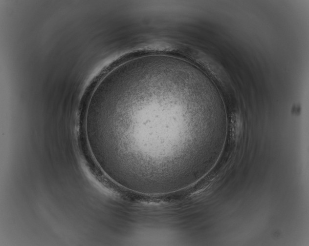 X0000089910726200707060958