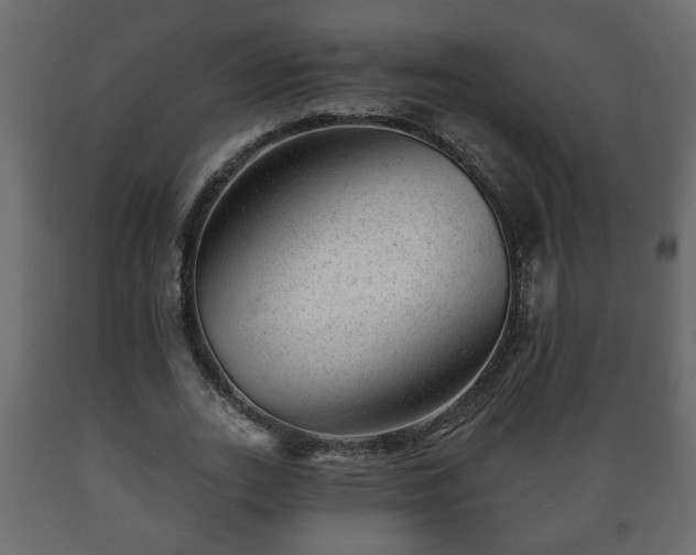 X0000089910727200707060958