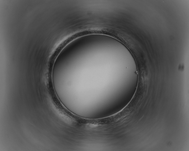 X0000089910728200707060958