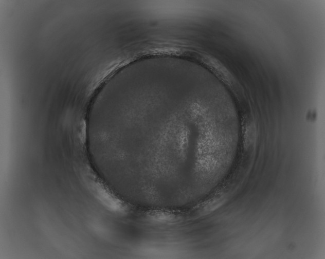 X0000089910729200707060958
